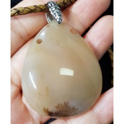 트리 아게이트(TREE AGATE)